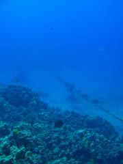 CIMG0823-s.jpg