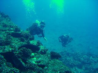 CIMG2034-s.jpg