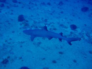 P3210864-s-s.jpg