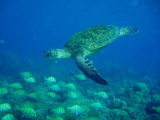 P2010155-s.jpg