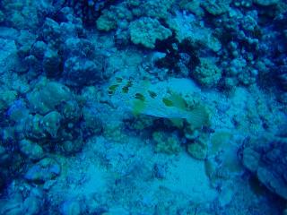 PA120086-s.jpg