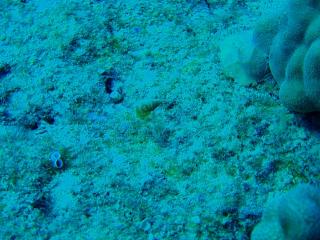 PB250034-s.jpg