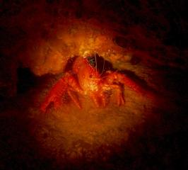 PB270046-s.jpg