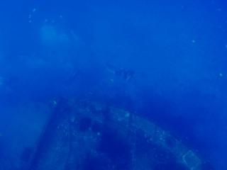 P2101247-s.jpg