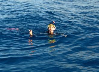 P3010178-s.jpg