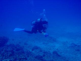P3170081-s.jpg