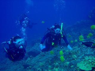 P5230092-s.jpg