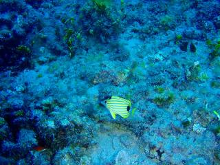 P5300167-s.jpg