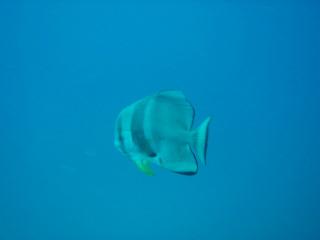 P9190039-s.jpg