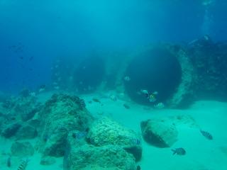 P9250171-s.jpg