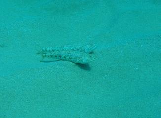 P9250184-s.jpg