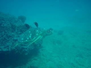 P9270050-s.jpg