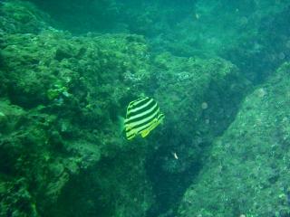 PB210096-s.jpg