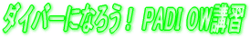 nCŃ_Co[ɂȂ낤I@PADI OWuK