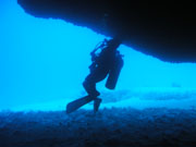 ZXDIVING